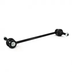 Tornillo Estab Del March1117Tiida 0618