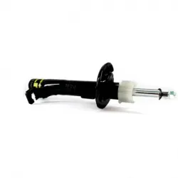 Amort Del Der Fiesta Ikon 1214