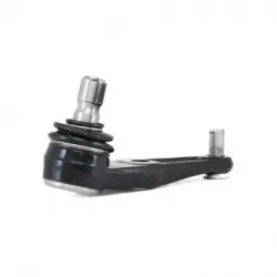 Rotula Inf Escort 9702