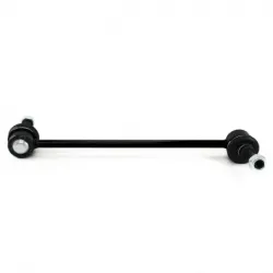 Tornillo Estab Del March1117Tiida 0618