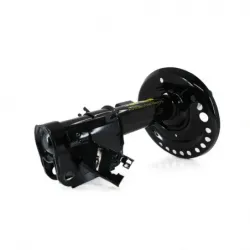 Amortiguador delizq para altimamaxima